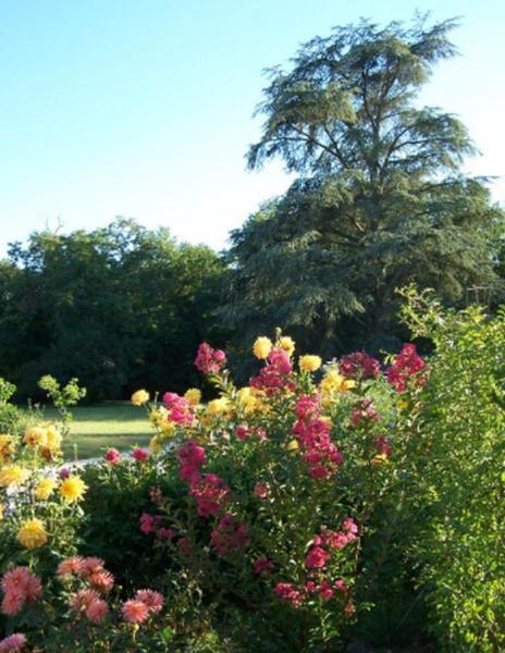 Chateau Des Bouffards Brinon-sur-Sauldre Екстериор снимка